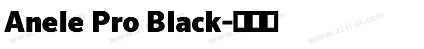 Anele Pro Black字体转换